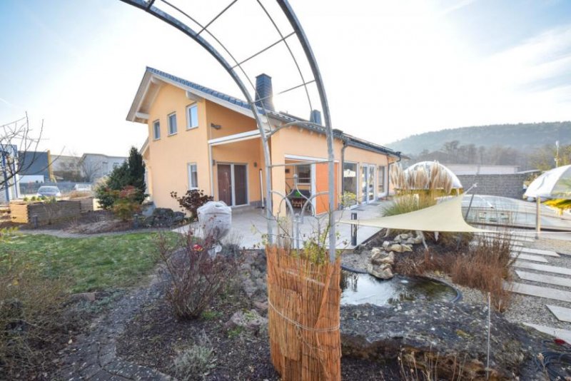 Elsenfeld DIETZ: Einzigartiges Architektenhaus mit Einliegerwohnung, Pool und Gewerbehalle für Ihr Unternehmen Haus kaufen