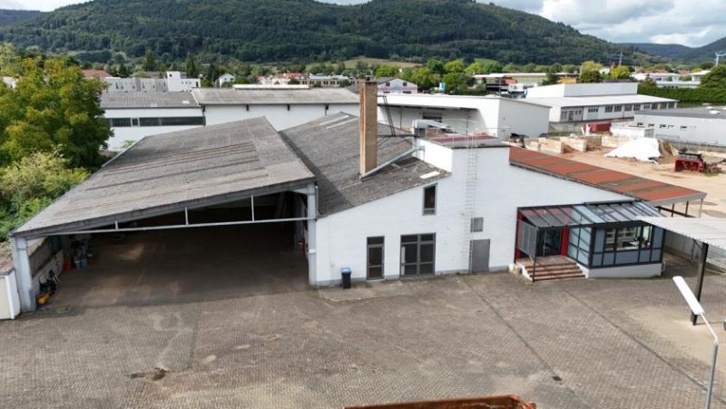 Miltenberg DIETZ: Gewerbeimmobilie mit 1888qm Lager- und Produktionsflächen auf 3540qm Grundstück! Gewerbe kaufen