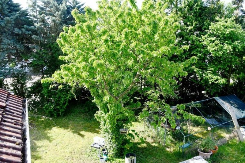 Mühltal Attraktives Baugrundstück (Abriss) in begehrter Wohnlage von Mühltal-Traisa Grundstück kaufen