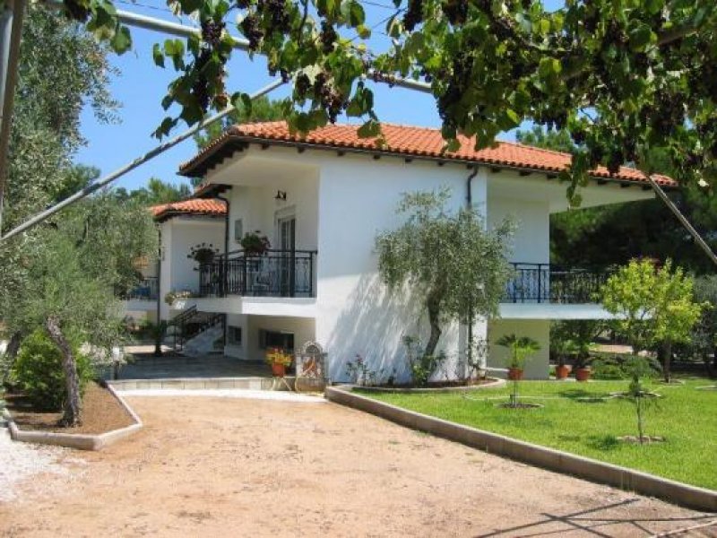 Bickenbach (Landkreis Darmstadt- Super Objekt auf der Insel Thasos Gewerbe kaufen