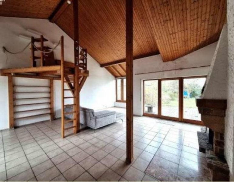 Zwingenberg ObjNr:19748 - Gepflegtes, freistehendes EFH mit Terrasse und großem Garten in Zwingenberg Haus kaufen