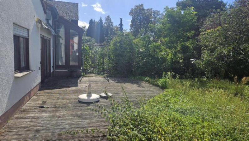 Zwingenberg ObjNr:B-19748 - Freistehendes EFH mit Terrasse und großem Garten, ruhig gelegen in Zwingenberg Haus kaufen