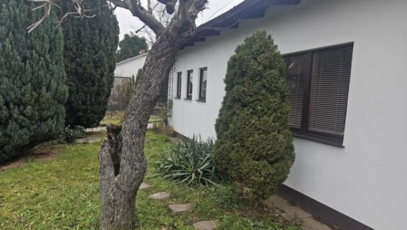 Michelstadt ObjNr:19786 - 2 verbundene Einfamilienhäuser in ruhiger Wohngegend in Michelstadt Haus kaufen