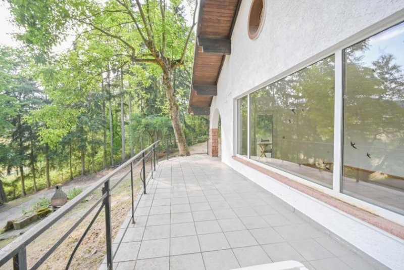 Bad König DIETZ: EFH auf einem 2.667m² großem naturnahen Grundstück in Bad König in Alleinlage. Haus kaufen