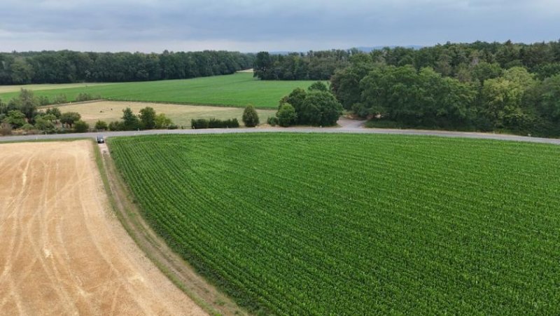 Groß-Umstadt DIETZ: Ackerlandfläche direkt an einer Landstraße zu verkaufen zwischen Groß-Umstadt und Münster! Grundstück kaufen