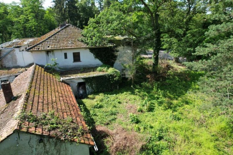 Babenhausen DIETZ: 1660qm Baugrundstück im Mischgebiet ohne Bebauungsplan - vielseitige Nutzungsmöglichkeiten! Grundstück kaufen