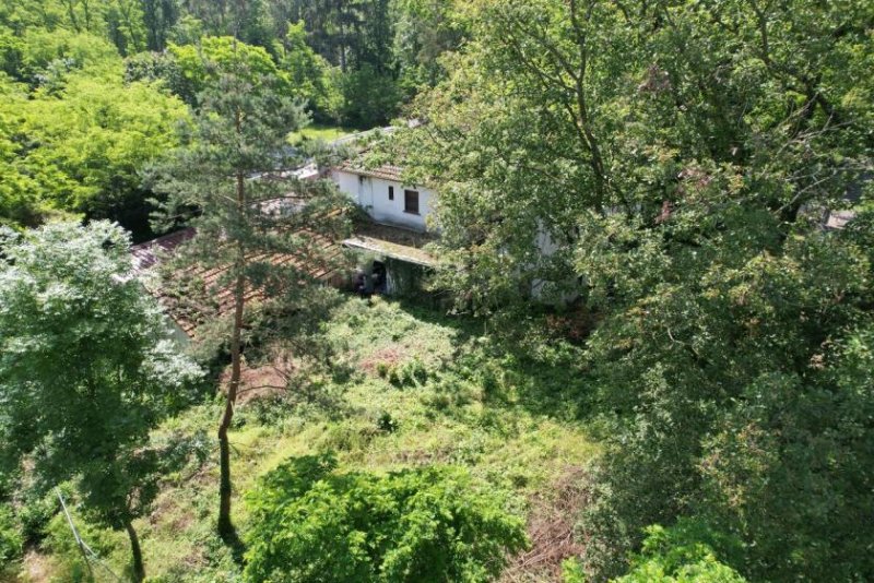 Babenhausen DIETZ: 1660qm Baugrundstück im Mischgebiet ohne Bebauungsplan - vielseitige Nutzungsmöglichkeiten! Grundstück kaufen