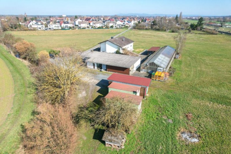 Babenhausen DIETZ: Aussiedlerhof mit großzügigem Wohnhaus und Nebengebäuden in Babenhausen auf über 1,1 ha! Haus kaufen