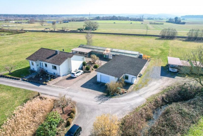 Babenhausen DIETZ: Aussiedlerhof für Pferde und Tierhaltung geeignet! Wohnhaus mit Nebengebäuden in Babenhausen! Haus kaufen