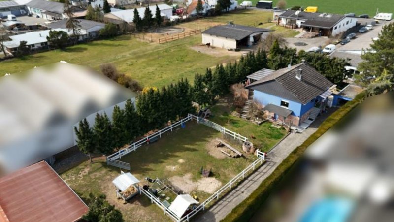 Babenhausen DIETZ: **VERKAUFT** Platz Für Ross und Reiter! Wohnhaus + Gewerbegebäude mit 6 Pferdestallungen Gewerbe kaufen