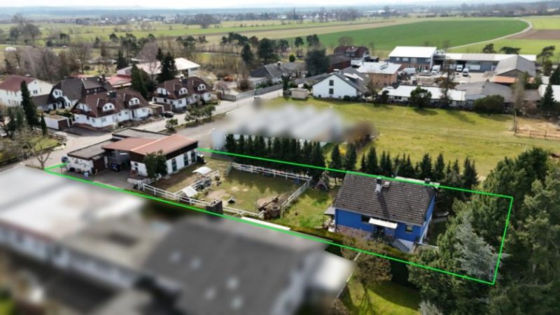 Babenhausen DIETZ: **VERKAUFT** Platz Für Ross und Reiter! Wohnhaus + Gewerbegebäude mit 6 Pferdestallungen Gewerbe kaufen