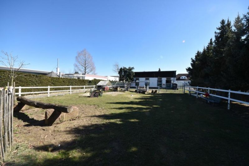 Babenhausen DIETZ: **VERKAUFT** Platz Für Ross und Reiter! Wohnhaus + Gewerbegebäude mit 6 Pferdestallungen Gewerbe kaufen