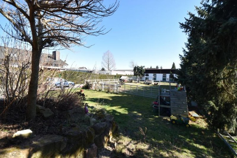 Babenhausen DIETZ: **VERKAUFT** Platz Für Ross und Reiter! Wohnhaus + Gewerbegebäude mit 6 Pferdestallungen Gewerbe kaufen