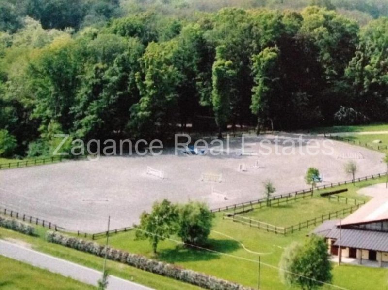 Mottalciata Italien - Erstklassige Reitsportanlage Haus kaufen