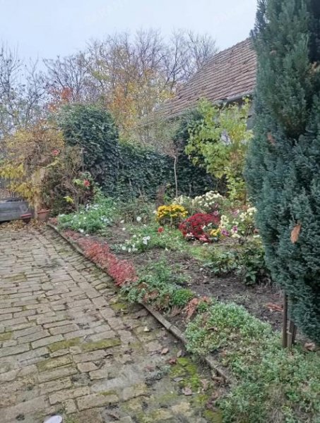 Gara Möbliertes Einfamilienhaus aus gemischten Ziegelsteinen im Zentrum von Gara mit großem Grundstück und ruhiger Umgebung zu