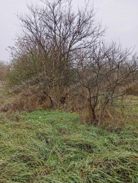 Gara Möbliertes Einfamilienhaus aus gemischten Ziegelsteinen im Zentrum von Gara mit großem Grundstück und ruhiger Umgebung zu