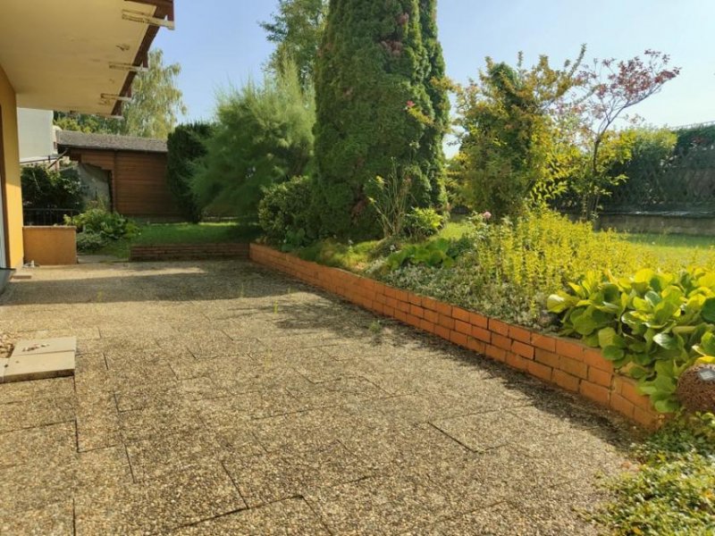 Eltville am Rhein Sehr geflegtes 3-Fam.Haus in Eltville: 2 Wohnungen frei! Garage, ruhige sonnige Weinbergslage Haus kaufen