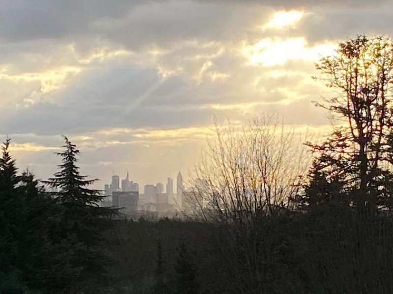 Bad Soden am Taunus Villa mit Skylineblick Haus kaufen