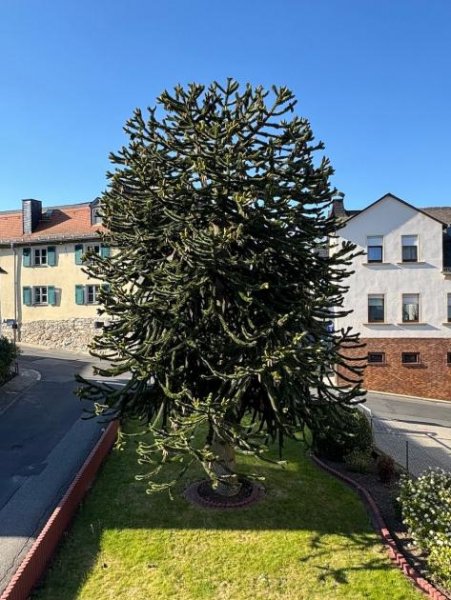 Eppstein Einziehen, wohlfühlen, erweitern – Haus mit Möglichkeiten Haus kaufen