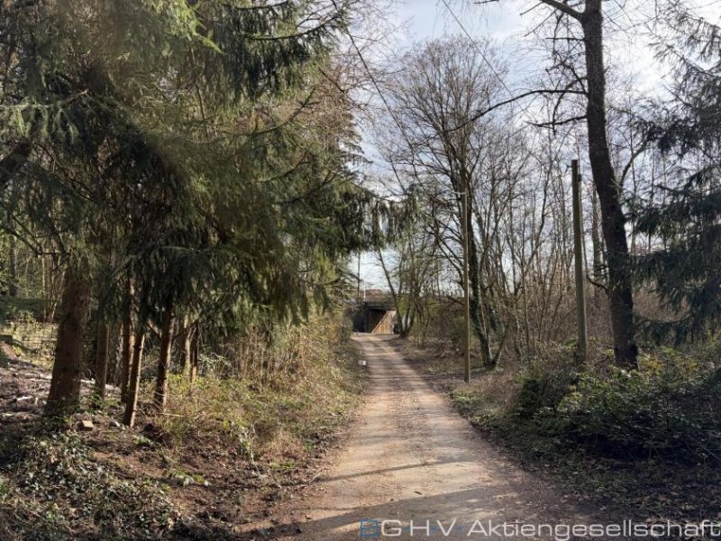 Saarbrücken Grüne Oase - Alleinlage mitten in Saarbrücken mit viel Potential Haus kaufen