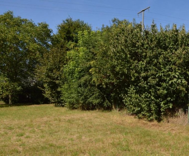 Homburg Exklusives Baugrundstück in Homburg-Schwarzenbach / AW161 Grundstück kaufen