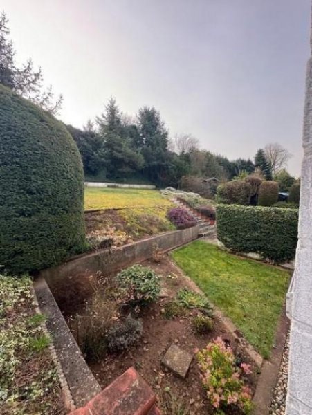 Zweibrücken ARCHITEKTENHAUS - beste Wohnlage - besondere Immobilie - Garten und weiter Raum rundum! Haus kaufen