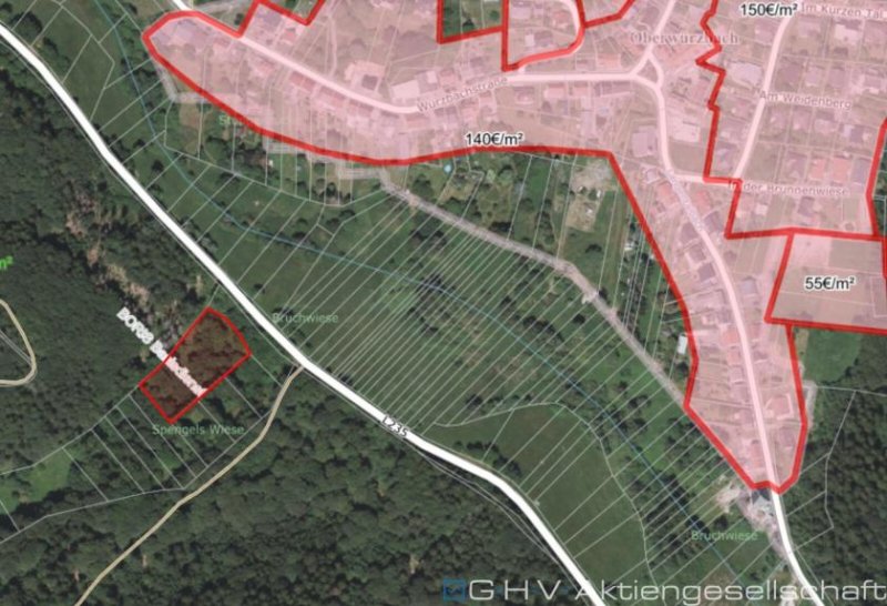 St. Wendel Wald/Wiesengrundstück Oberwürzbach-Reichenbrunn gegen Höchstgebot Grundstück kaufen