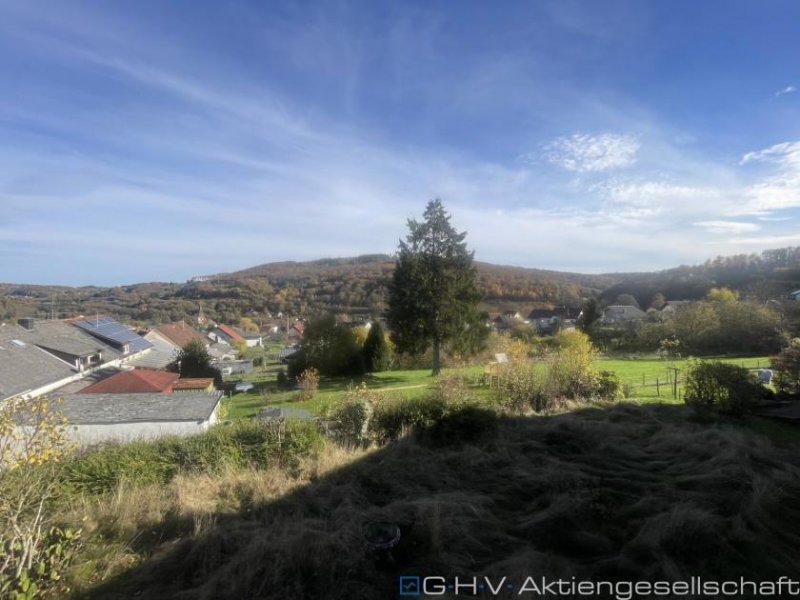 Nonnweiler großzügiges EFH mit Einliegerwohnung und phantastischer Aussicht Haus kaufen