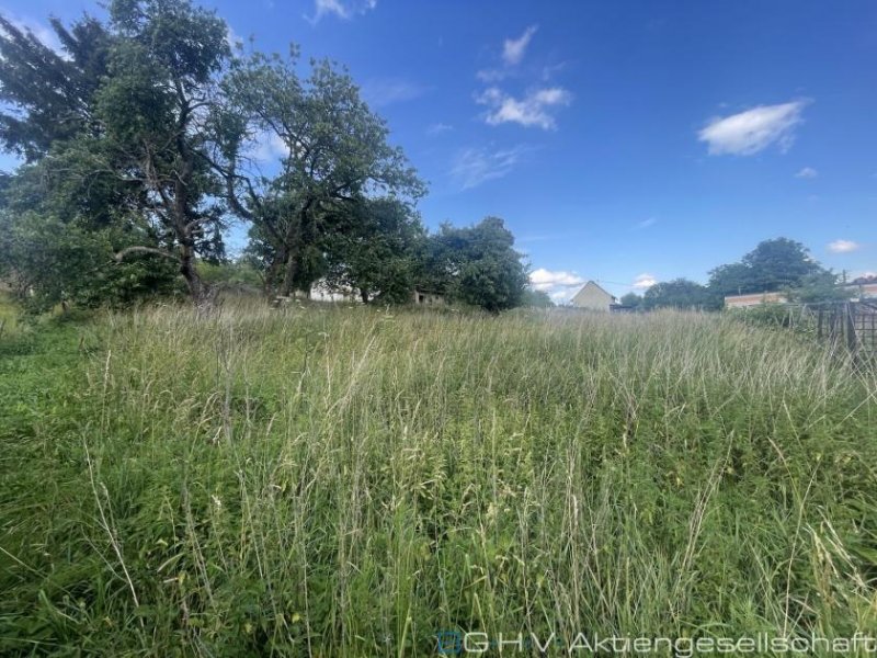 Freisen In Verkaufsabwicklung: großzügiges Wohn- und Geschäftshaus Haus kaufen