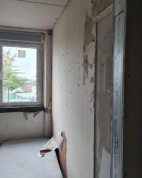 Pirmasens ObjNr:B-18745 - Frisch renoviertes Einfamilienhaus in Pirmasens mit Garten und Hof Haus kaufen