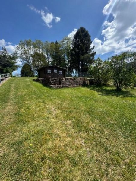 Schindhard Gelegenheit - SCHRAUBERPARADIES - Mehrgenerationenhaus - Lage unbezahlbar - SELTEN! Haus kaufen