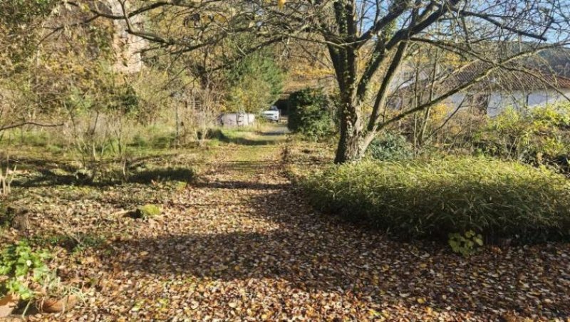 Bad Dürkheim ObjNr:B-19522 - Repräsentatives EFH mit Garten und großem Grundstück ausserhalb in DÜW-Grethen. Haus kaufen