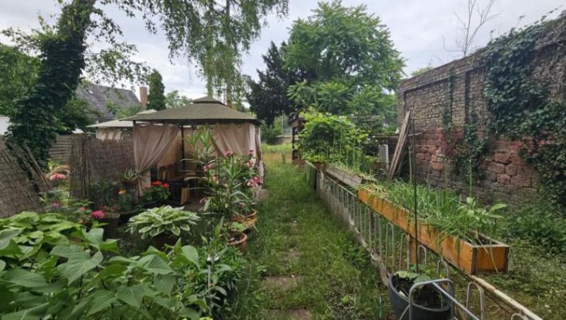 Frankenthal (Pfalz) ObjNr:19699 - KAPITALANLAGE - MFH mit 4 Einheiten zentral in Frankenthal Haus kaufen