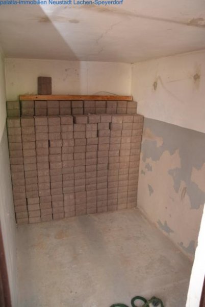 Frankenthal (Pfalz) Schmuckes, saniertes Einfamilienhaus in guter Lage Haus kaufen
