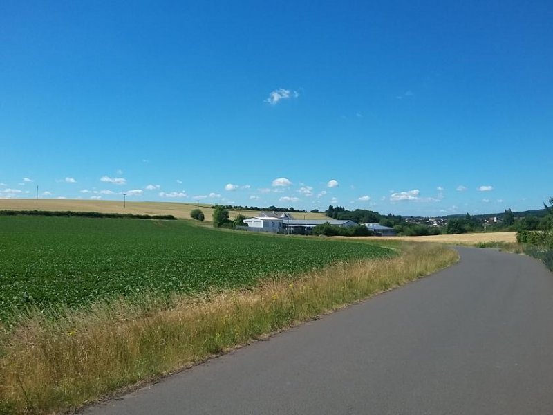 Bolanden EUPORA® Immobilien: Gewerbeobjekt mit Halle und Verwaltungsgebäude in Bolanden. Gewerbe kaufen