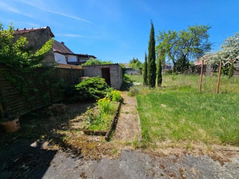 Eisenberg (Pfalz) ObjNr:19684 - Freistehendes Einfamilienhaus mit Vor- und Rückgarten sowie Garage und Stellplatz Haus kaufen