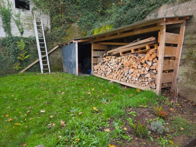 Frankeneck ObjNr:B-19783 - Freistehendes Einfamilienhaus mit Garten Haus kaufen