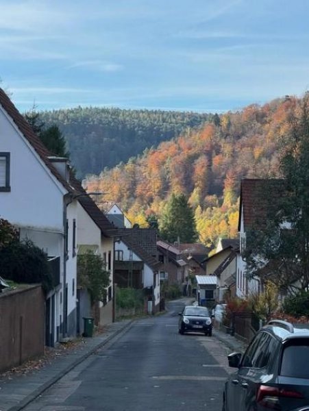 Neidenfels Traumwohnung für das täglich sanfte Erwachen. KAPITALANLAGE oder eigener Altersruhesitz! Wohnung kaufen