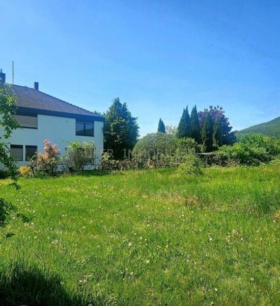 Maikammer Ein verstecktes Juwel, angrenzend an die Weinberge mit Blick auf das Hambacher Schloss Grundstück kaufen