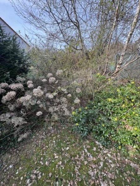 Kaiserslautern Beste Wohnlage - ruhig mitten im Wald und doch Großstadtnah - hier kann man sich ein Heim bauen! Grundstück kaufen