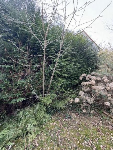 Kaiserslautern Beste Wohnlage - ruhig mitten im Wald und doch Großstadtnah - hier kann man sich ein Heim bauen! Grundstück kaufen