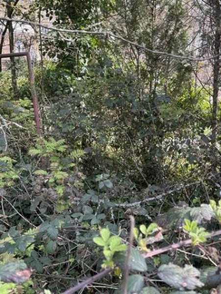 Kaiserslautern Beste Wohnlage - ruhig mitten im Wald und doch Großstadtnah - hier kann man sich ein Heim bauen! Grundstück kaufen