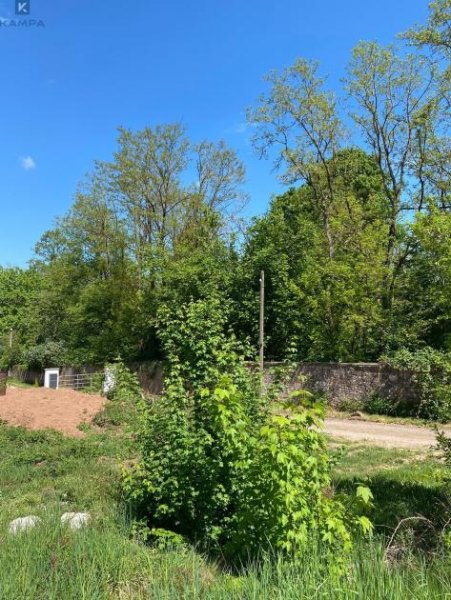 Trippstadt Etwas abseits und trotzdem ein Volltreffer Grundstück kaufen