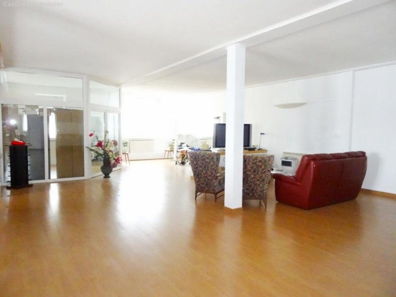 Mulhouse Grosszügige Wohnung in zentraler Lage im Elsass - 30 Minuten v/Basel Wohnung kaufen