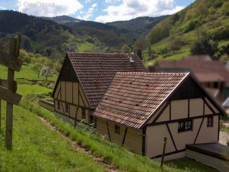 Soultzbach-les-Bains (bei) äusserst stilvoll renovierte Farm - in den schönen Bergen der Vogesen mit Umschwung - 50 Min. von Basel und 40 Min. von der