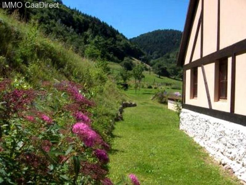 Soultzbach-les-Bains (bei) äusserst stilvoll renovierte Farm - in den schönen Bergen der Vogesen mit Umschwung - 50 Min. von Basel und 40 Min. von der