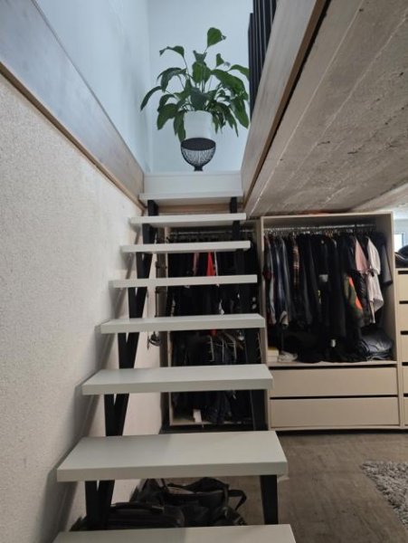 Mannheim Stilvoll wohnen in bester Lage–Exklusive Doppelhaushälfte mit Designer-Ausstattung in Ma-Gartenstadt Haus kaufen