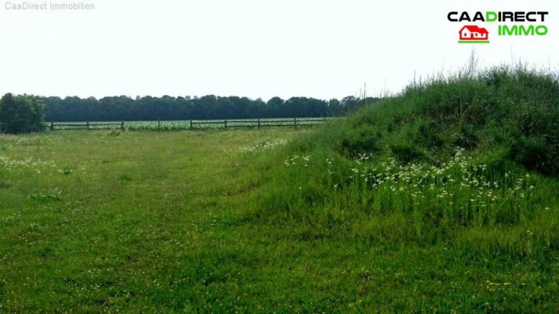 Volgelsheim 6000 m² Grundstück, Nebengebäude, u. Wohnhaus im Elsass - 4 km v/Breisach am Rhein Haus kaufen