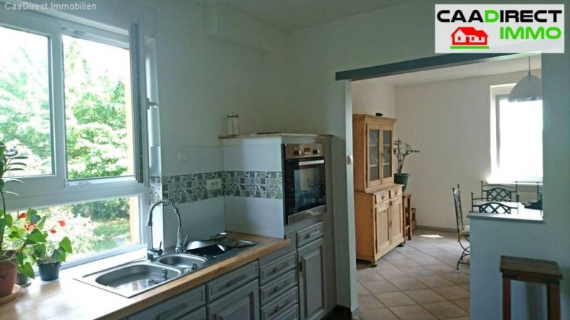 Volgelsheim In Grüner Oase, 6000 m² Grdst., Nebengebäude, 8 Zimmer im Elsass - 4 km v/Breisach am Rhein Haus kaufen