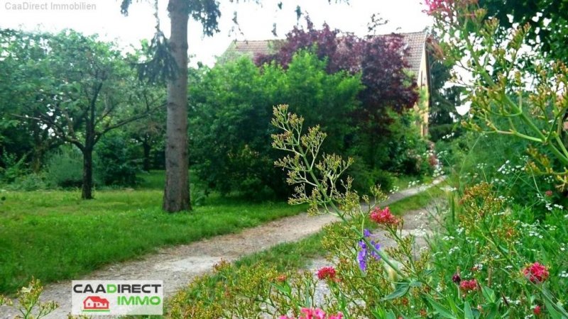 Volgelsheim In Grüner Oase, 6000 m² Grdst., Nebengebäude, 8 Zimmer im Elsass - 4 km v/Breisach am Rhein Haus kaufen
